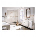 Потолочная душевая лейка Hansgrohe Raindance Classic 240 с держателем